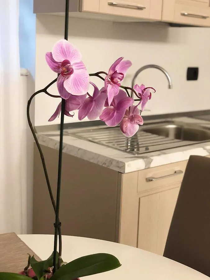 Marina Centro Suite Rimini Apartment